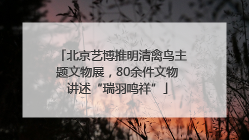 北京艺博推明清禽鸟主题文物展，80余件文物讲述“瑞羽鸣祥”