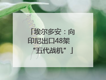 埃尔多安：向印尼出口48架“五代战机”