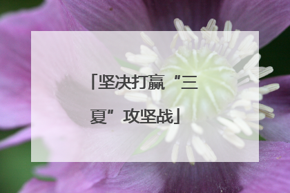 坚决打赢“三夏”攻坚战