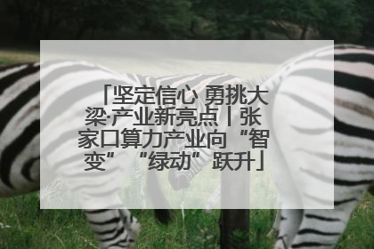 坚定信心 勇挑大梁·产业新亮点丨张家口算力产业向“智变”“绿动”跃升