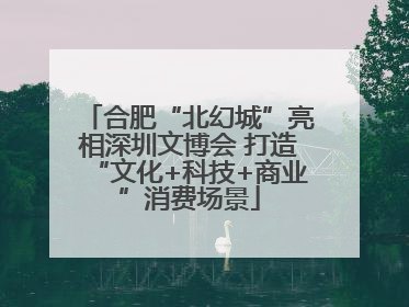 合肥“北幻城”亮相深圳文博会 打造“文化+科技+商业”消费场景