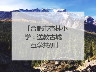 合肥市杏林小学：送教古城 互学共研