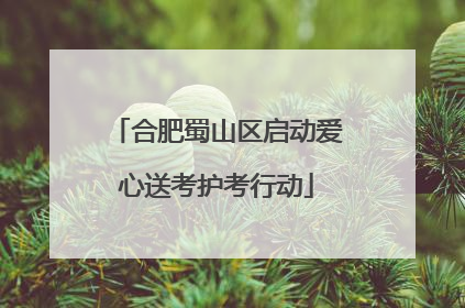 合肥蜀山区启动爱心送考护考行动