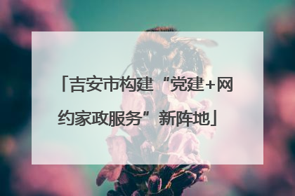 吉安市构建“党建+网约家政服务”新阵地