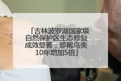 吉林波罗湖国家级自然保护区生态修复成效显著，珍稀鸟类10年增加5倍