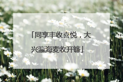 同享丰收喜悦，大兴瀛海麦收开镰