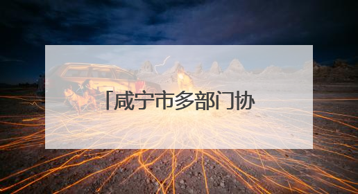 咸宁市多部门协同发力 精准服务企业落地生根