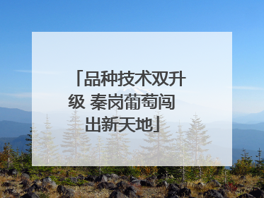 品种技术双升级 秦岗葡萄闯出新天地