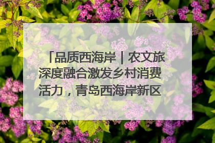 品质西海岸｜农文旅深度融合激发乡村消费活力，青岛西海岸新区的乡村振兴实践