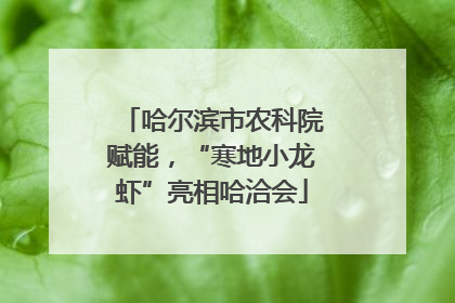 哈尔滨市农科院赋能，“寒地小龙虾”亮相哈洽会