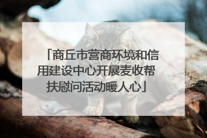 商丘市营商环境和信用建设中心开展麦收帮扶慰问活动暖人心