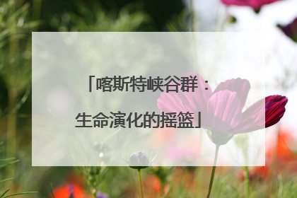 喀斯特峡谷群：生命演化的摇篮