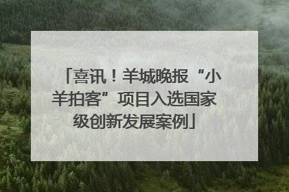 喜讯！羊城晚报“小羊拍客”项目入选国家级创新发展案例