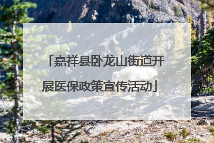 嘉祥县卧龙山街道开展医保政策宣传活动