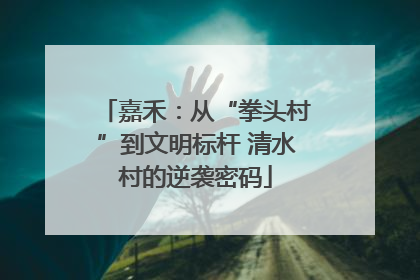 嘉禾：从“拳头村”到文明标杆 清水村的逆袭密码