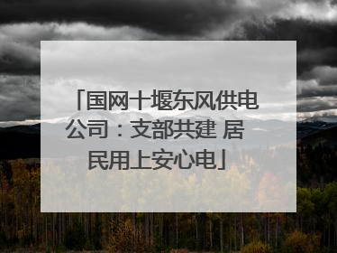 国网十堰东风供电公司：支部共建 居民用上安心电