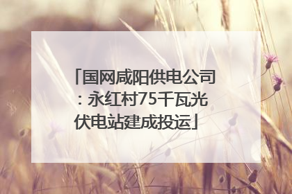 国网咸阳供电公司：永红村75千瓦光伏电站建成投运