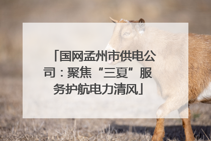 国网孟州市供电公司：聚焦“三夏”服务护航电力清风