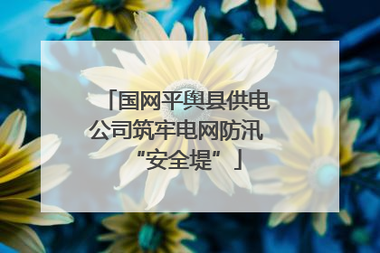 国网平舆县供电公司筑牢电网防汛“安全堤”