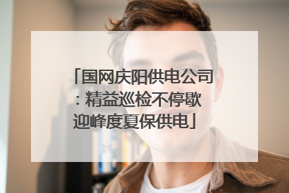 国网庆阳供电公司：精益巡检不停歇 迎峰度夏保供电