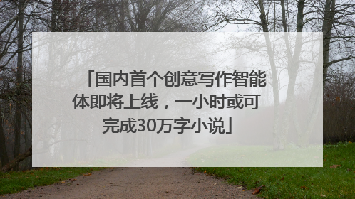 国内首个创意写作智能体即将上线，一小时或可完成30万字小说