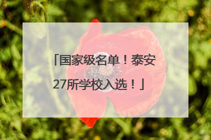 国家级名单！泰安27所学校入选！