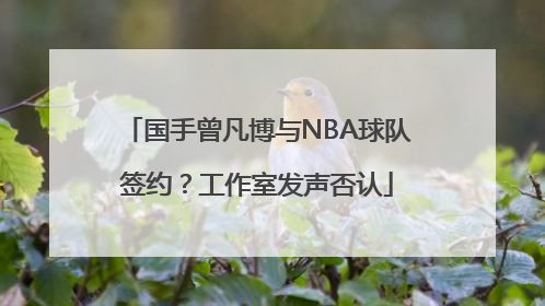 国手曾凡博与NBA球队签约？工作室发声否认