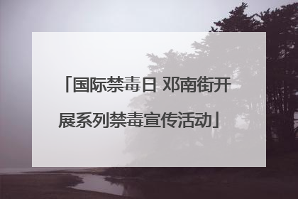 国际禁毒日 邓南街开展系列禁毒宣传活动