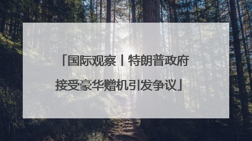 国际观察丨特朗普政府接受豪华赠机引发争议