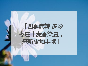 四季流转 多彩枣庄｜麦香染夏，来听枣地丰歌