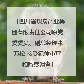 四川省煤炭产业集团有限责任公司原党委委员、副总经理张万松 接受纪律审查和监察调查
