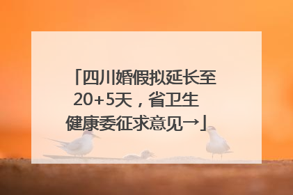 四川婚假拟延长至20+5天，省卫生健康委征求意见→