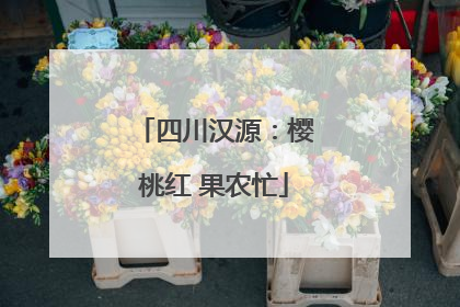 四川汉源：樱桃红 果农忙