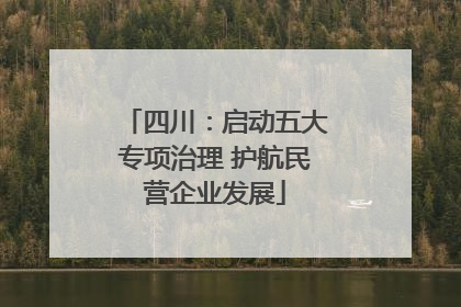 四川：启动五大专项治理 护航民营企业发展