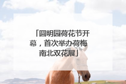 圆明园荷花节开幕，首次举办荷梅南北双花展
