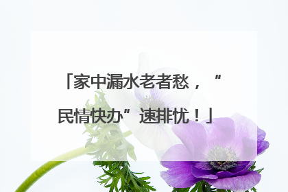 家中漏水老者愁，“民情快办”速排忧！