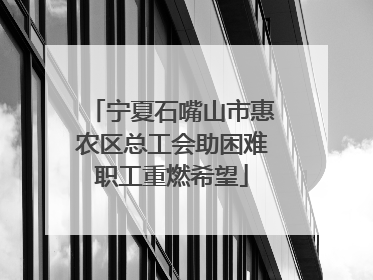 宁夏石嘴山市惠农区总工会助困难职工重燃希望