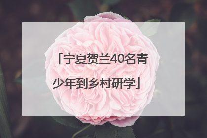宁夏贺兰40名青少年到乡村研学