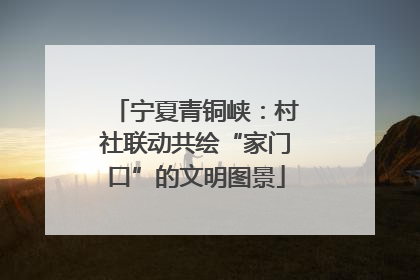 宁夏青铜峡：村社联动共绘“家门口”的文明图景