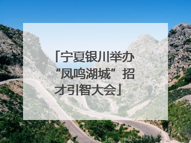 宁夏银川举办“凤鸣湖城”招才引智大会