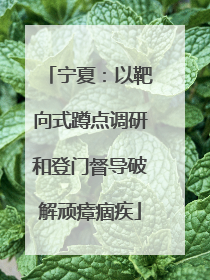 宁夏：以靶向式蹲点调研和登门督导破解顽瘴痼疾