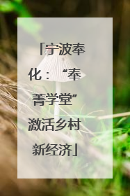 宁波奉化：“奉菁学堂”激活乡村新经济