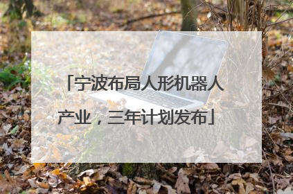 宁波布局人形机器人产业，三年计划发布