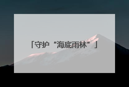 守护“海底雨林”
