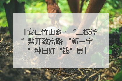 安仁竹山乡：“三板斧”劈开致富路 “新三宝”种出好“钱”景