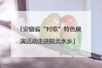 安徽省“村歌”特色展演活动走进皖北水乡