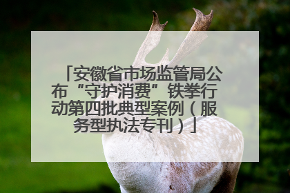 安徽省市场监管局公布“守护消费”铁拳行动第四批典型案例（服务型执法专刊）