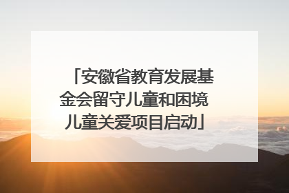 安徽省教育发展基金会留守儿童和困境儿童关爱项目启动