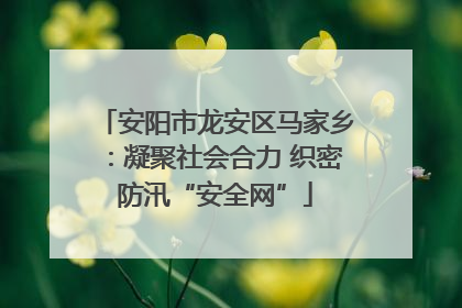 安阳市龙安区马家乡：凝聚社会合力 织密防汛“安全网”