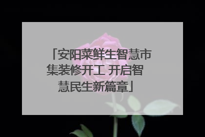 安阳菜鲜生智慧市集装修开工 开启智慧民生新篇章